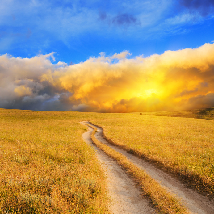 Sunrise over the meadow